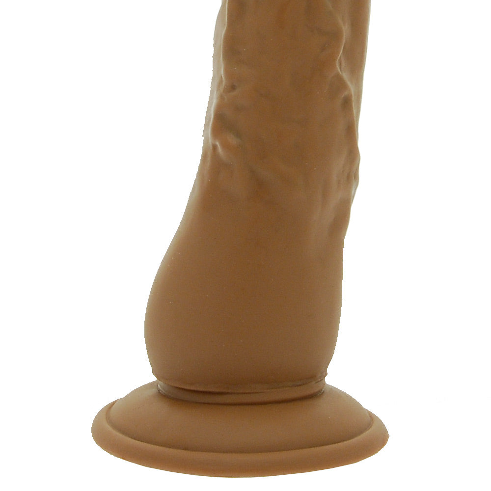 PlayBound UK adult toys & lingerie: latin lover world of dongs