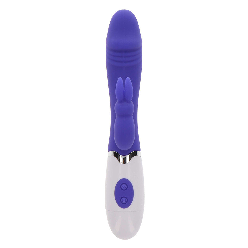 PlayBound UK adult toys & lingerie: toyjoy funky rabbit vibrator purple