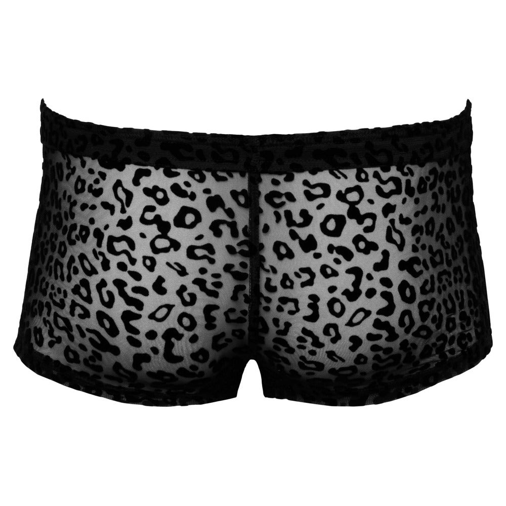 PlayBound UK adult toys & lingerie: noir sheer animal print pants