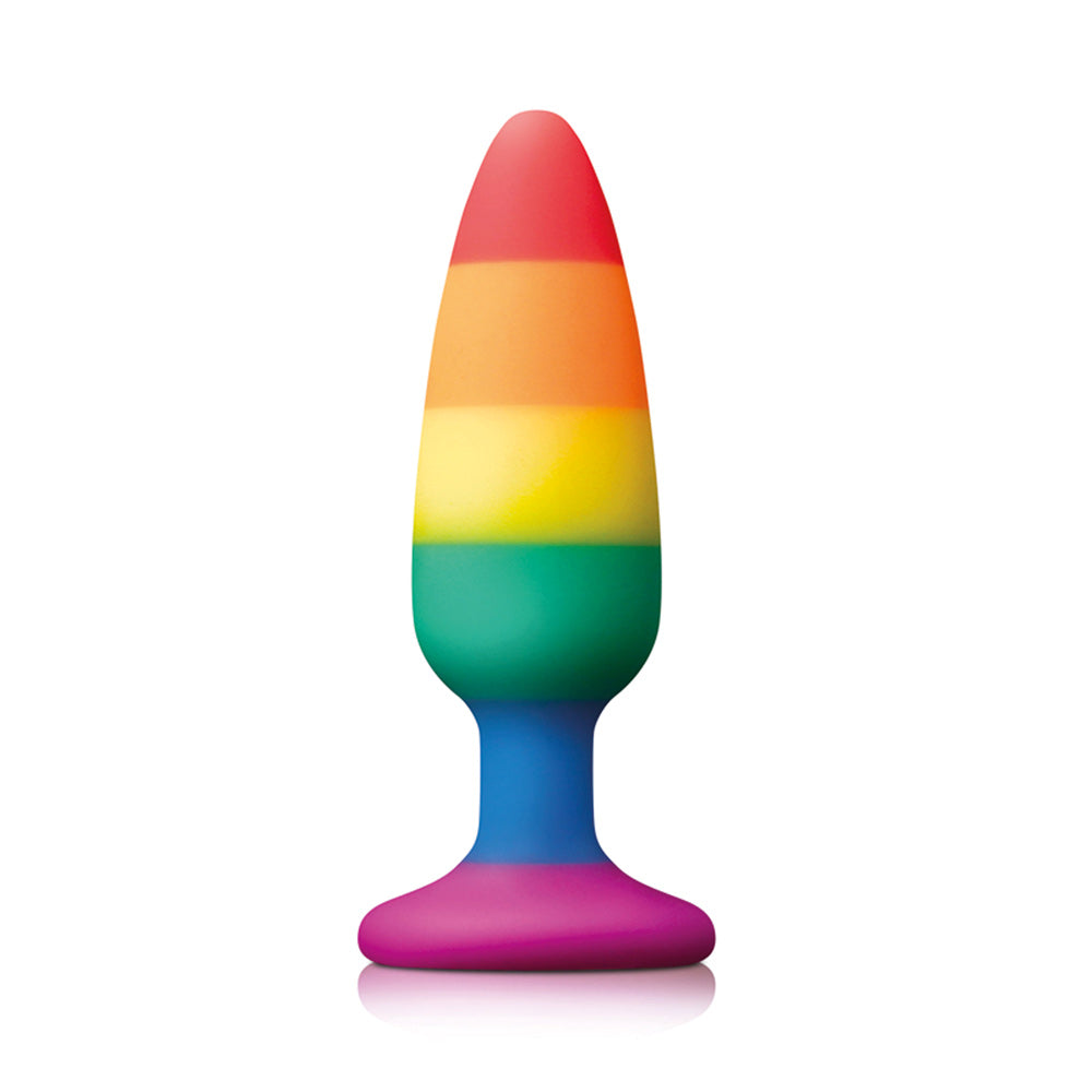 PlayBound UK adult toys & lingerie: pride pleasure plug rainbow medium