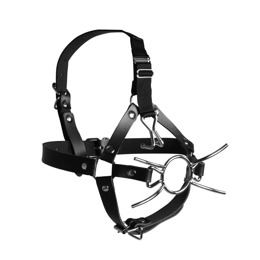 PlayBound UK adult toys & lingerie: ouch xtreme head harness with spider gag and nose hooks