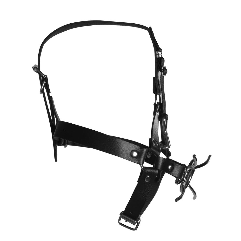 PlayBound UK adult toys & lingerie: ouch xtreme head harness with spider gag and nose hooks