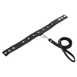 PlayBound UK adult toys & lingerie: sportsheets leather leash and collar