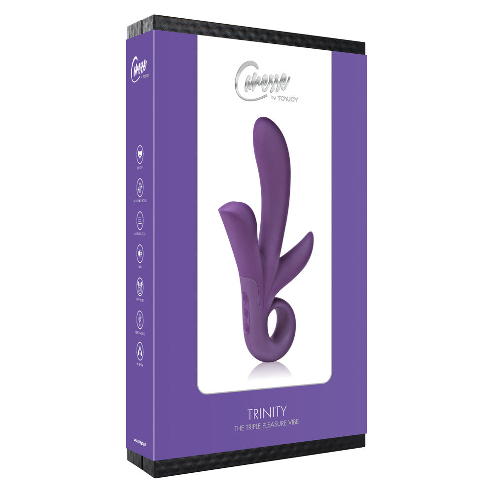 PlayBound UK adult toys & lingerie: toyjoy trinity triple pleasure vibrator purple