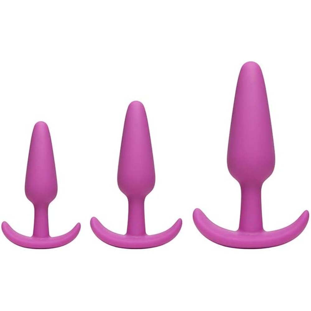 PlayBound UK adult toys & lingerie: mood naughty 1 butt plug trainer set