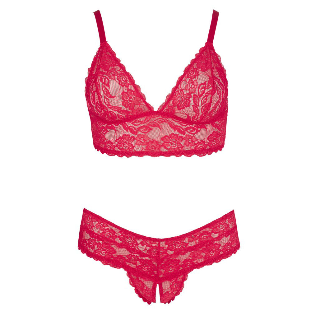 PlayBound UK adult toys & lingerie: cottelli plus size red lace bra and briefs