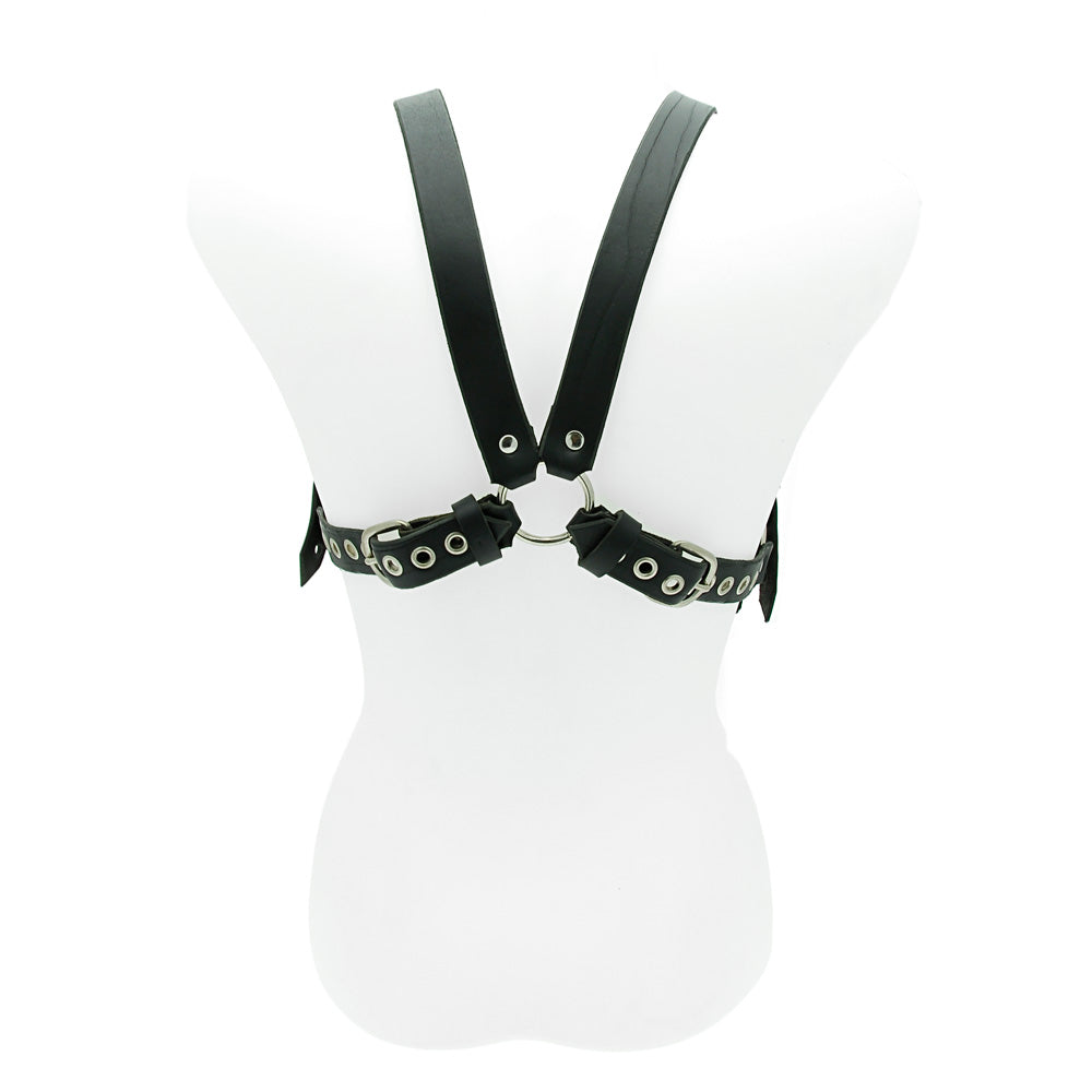 PlayBound UK adult toys & lingerie: house of eros 1 inch male harness and cock strap