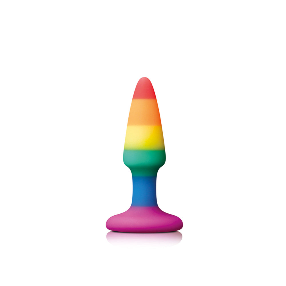 PlayBound UK adult toys & lingerie: pride pleasure plug rainbow mini