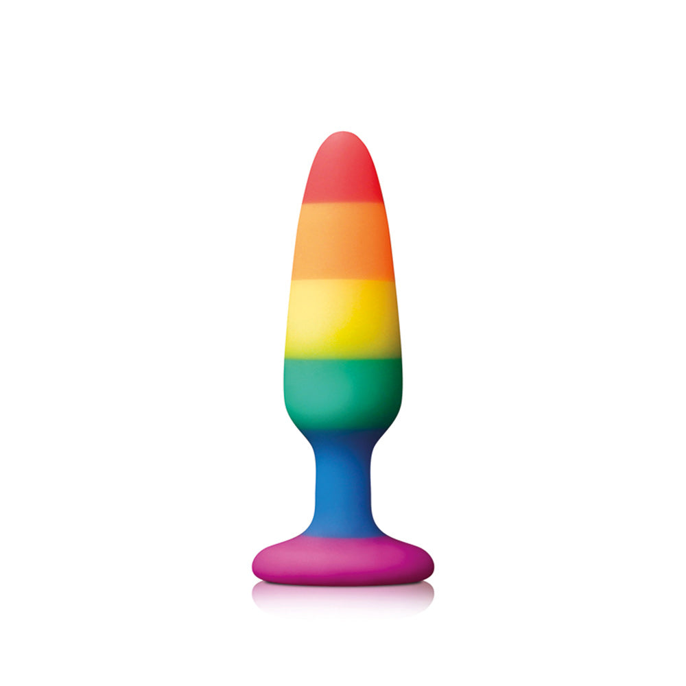 PlayBound UK adult toys & lingerie: pride pleasure plug rainbow small