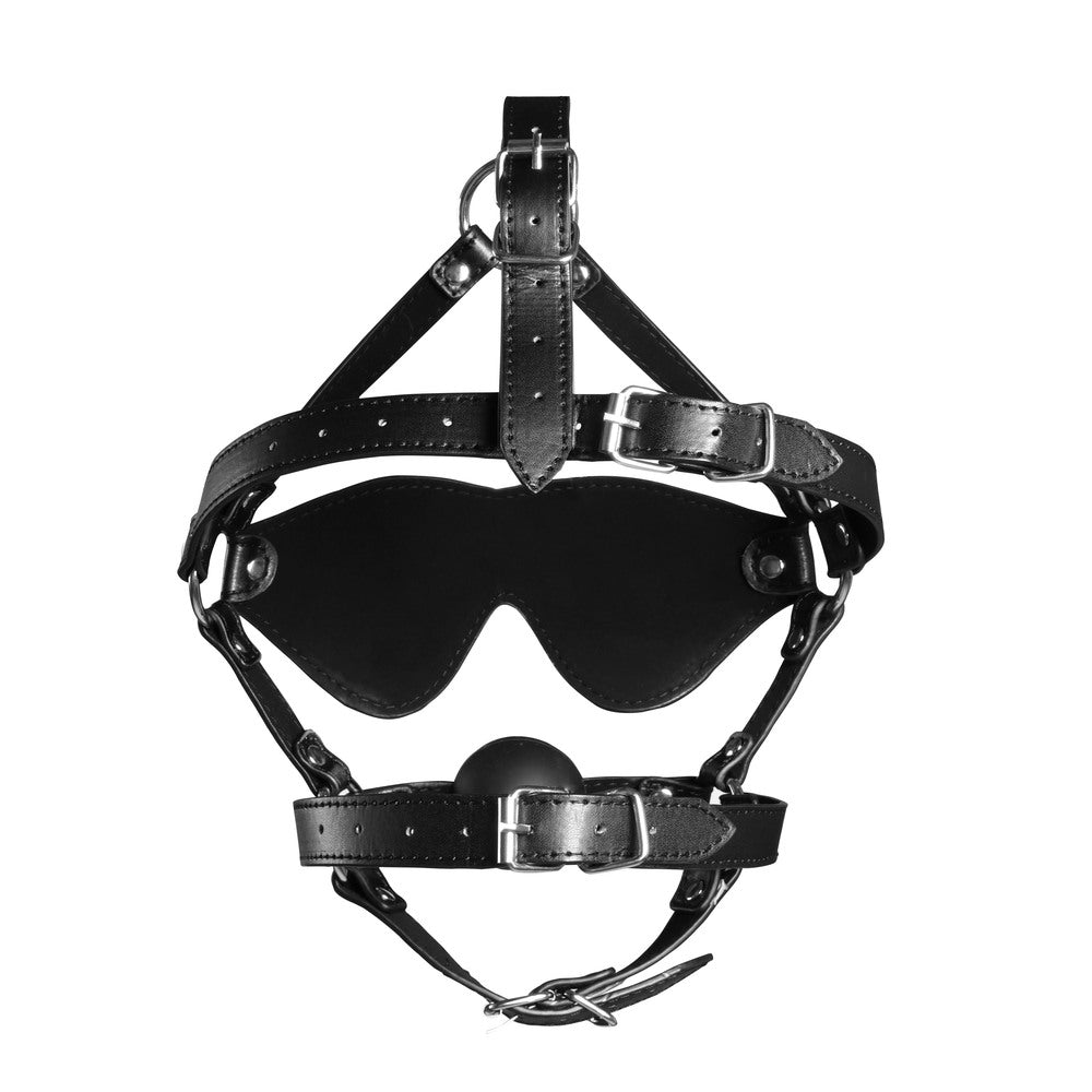 PlayBound UK adult toys & lingerie: ouch xtreme blindfolded harness with solid ball gag