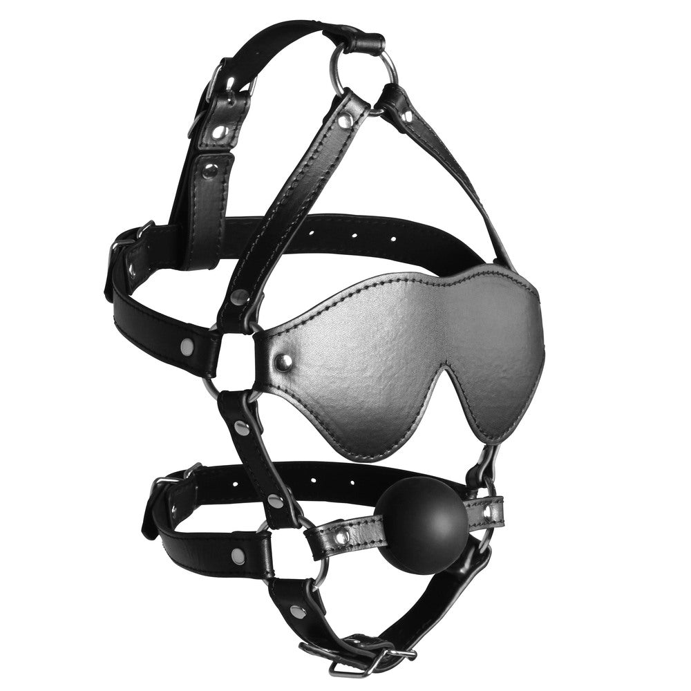 PlayBound UK adult toys & lingerie: ouch xtreme blindfolded harness with solid ball gag