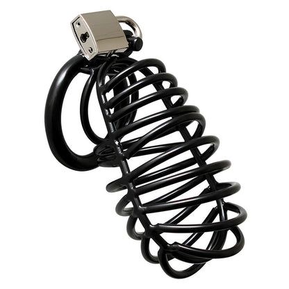 PlayBound UK adult toys & lingerie: black metal male chastity device with padlock