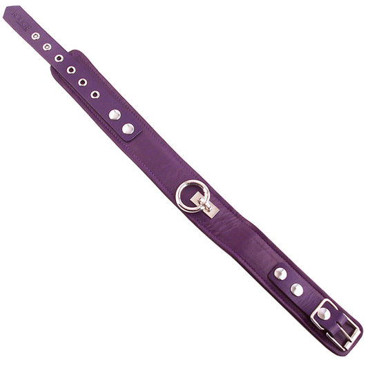 PlayBound UK adult toys & lingerie: rouge garments plain purple leather collar
