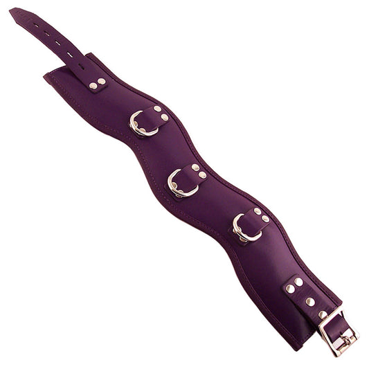 PlayBound UK adult toys & lingerie: rouge garments purple padded posture collar