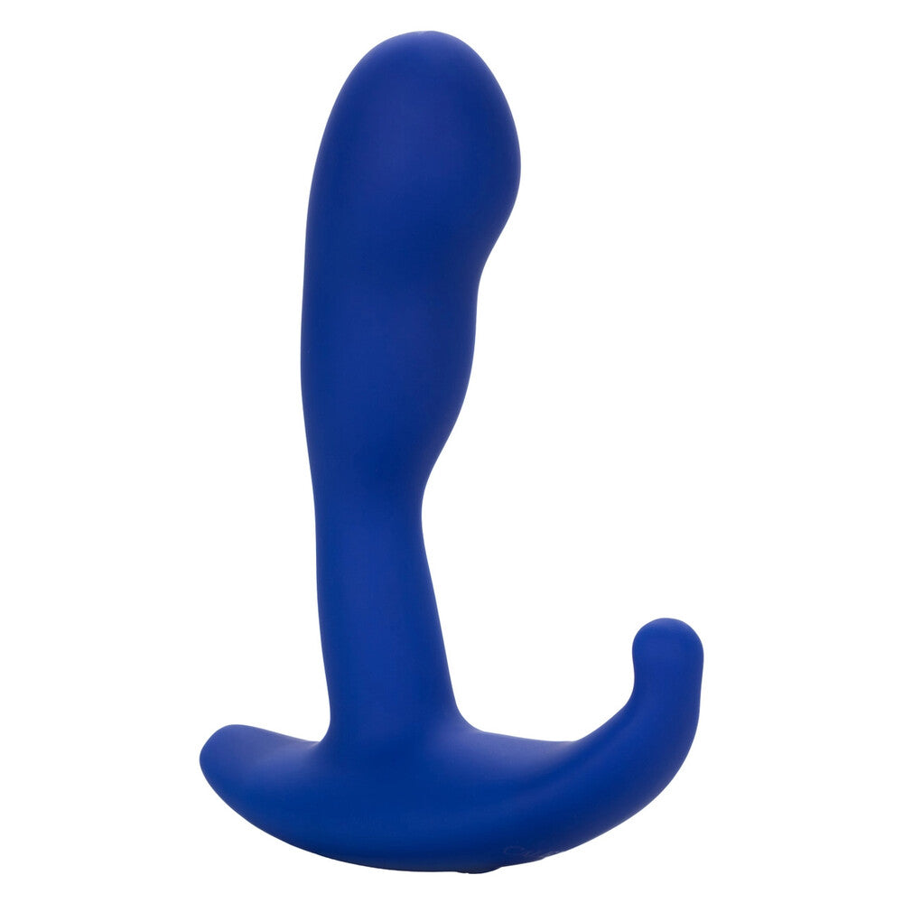 PlayBound UK adult toys & lingerie: admiral advanced curved probe